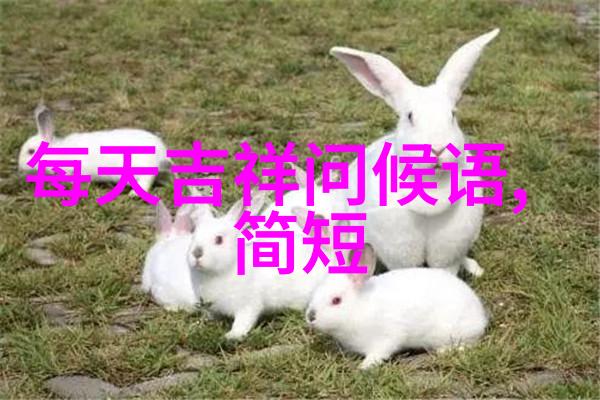 色彩世界探秘深入了解各种颜色的文化和历史