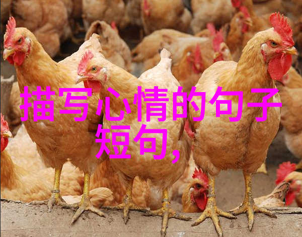 刘亦菲陈晓梦华录何时播出这部偶像剧在社会上引发了多少关注结局又是怎样的惊喜呢