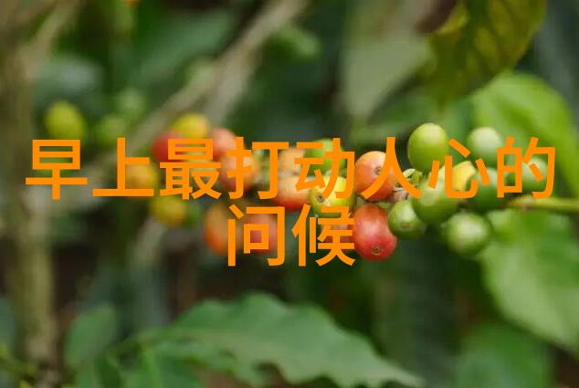 启明星下的秘密夜话