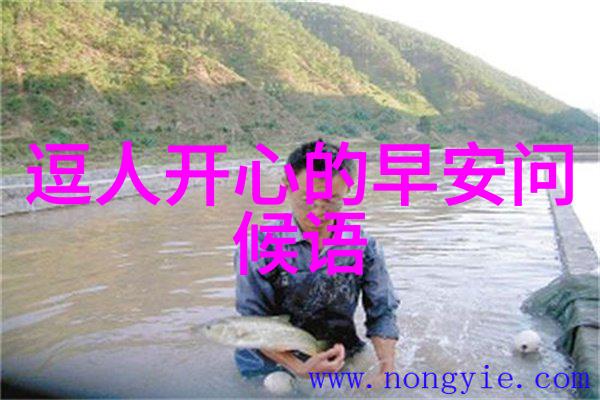 现代美的诠释帅哥背后的故事与魅力
