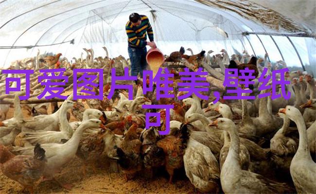 东方时尚驾校报名李咏女儿法图麦晒照抢眼细腰如杨柳距父亲离世已五载
