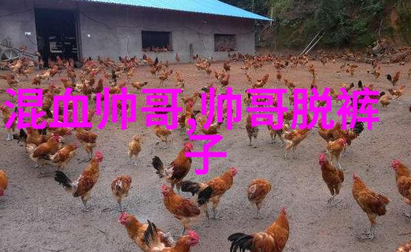 从线条到表情打造动漫中最受欢迎的脸