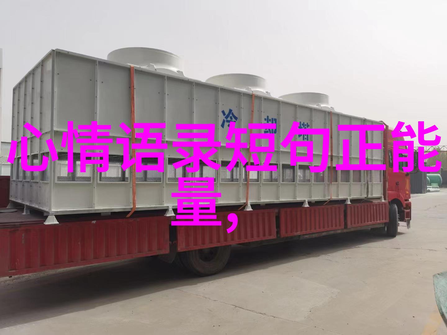 卡通头像女 微信 新款 - 色彩斑斓的微信新款卡通女孩头像个性化社交互动的新趋势