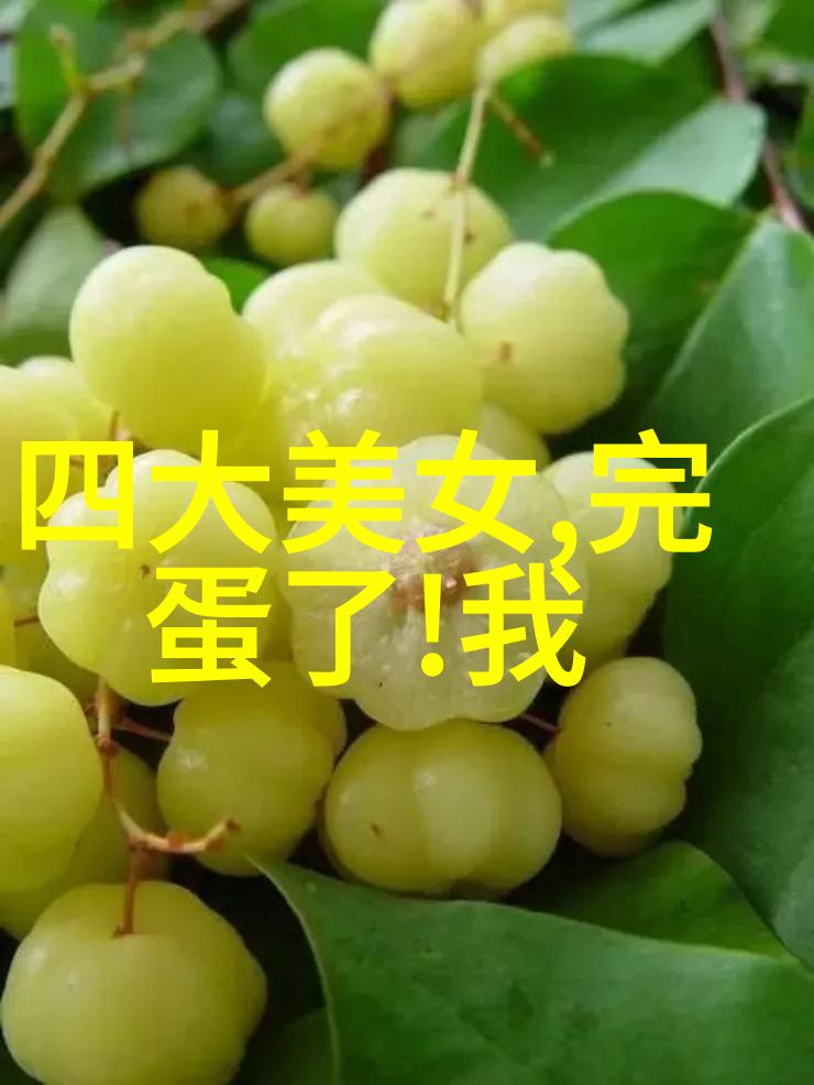 春节的灯火探索元夕的文化奥秘