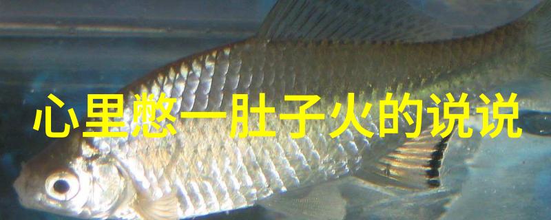 惊魂无限揭秘十张最吓人鬼图的恐怖魅力