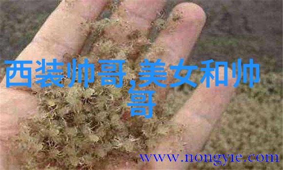 早安晨曦初照的温柔倾泻