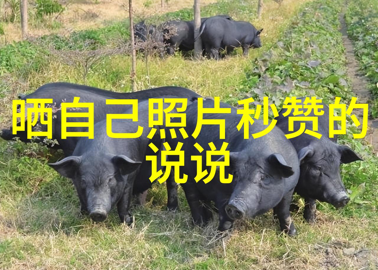 超级萌娃图片集锦可爱至极的童真魅力