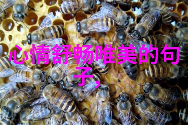明星大侦探第四季密室里的谜团解开前夕