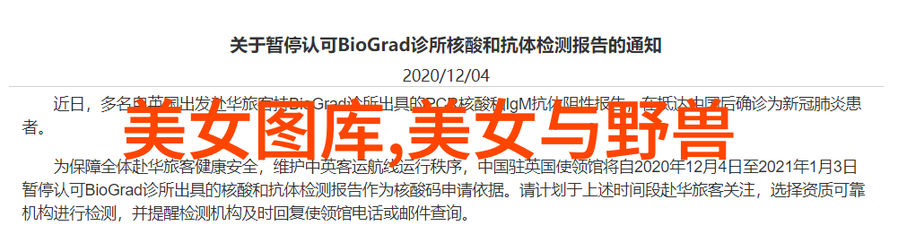 阳光早晨的温馨问候让每个新的一天都充满爱与希望