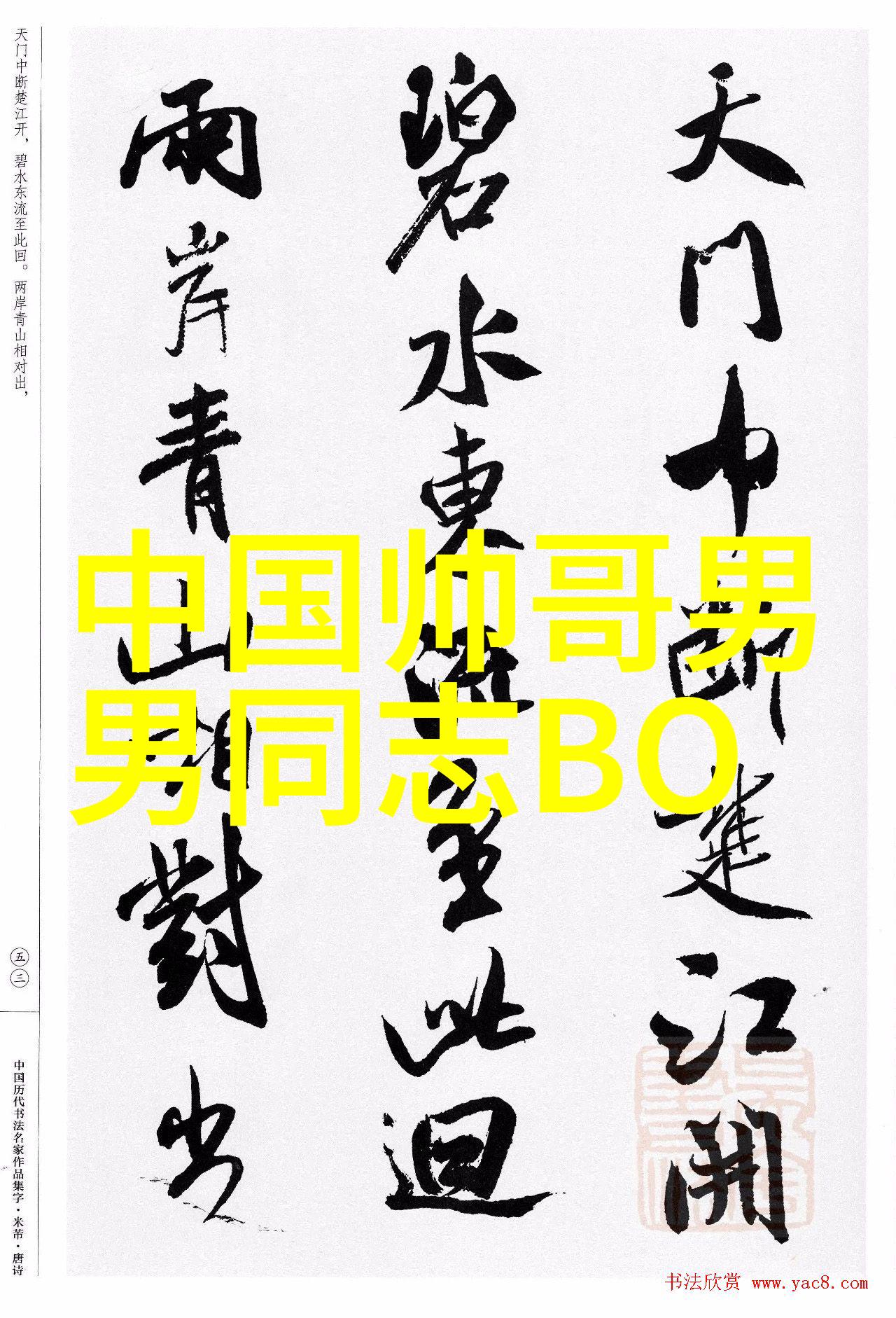 全民聊天探索无需付费的交友奇迹