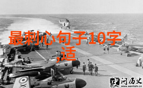 小动物大表情2020年卡通动漫中的可爱瞬间