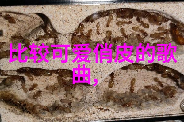 三人仙女群聊名称咱们这儿的天籁美语三位仙女的日常趣事