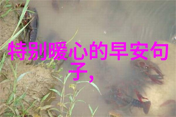 跨文化嫁接百川文明诀探索台湾综艺未来态在社会的演变中
