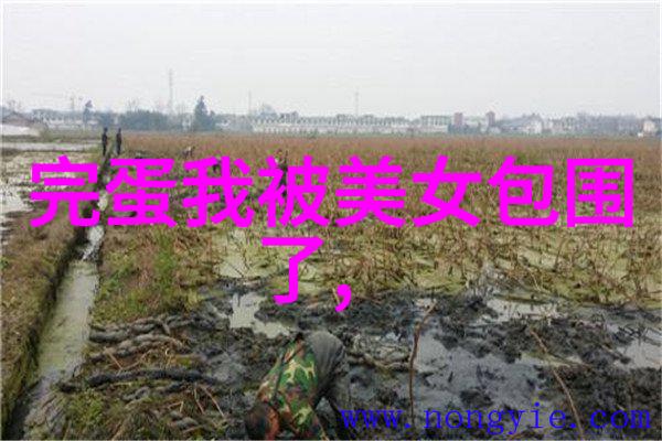 惊魂30年回顾那些影响后世的50部恐怖电影