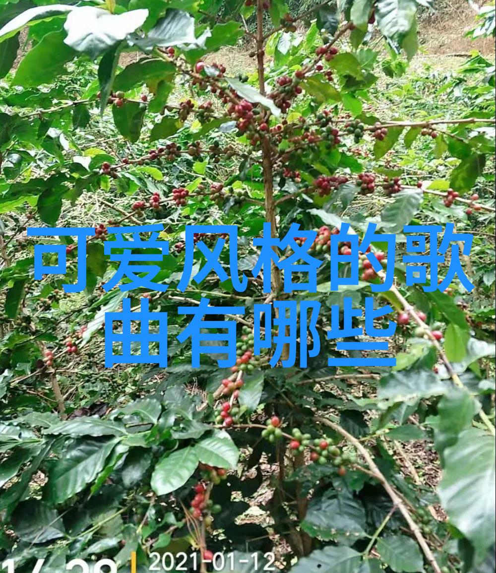 明星小说虚构世界中的名人传奇