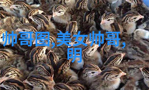 明星电力闪耀的能量与舞台上的稳定