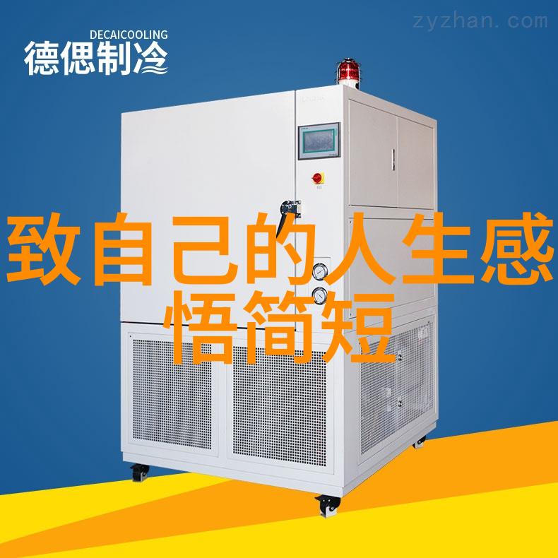 艺术与自然的融合手工艺品可爱图片欣赏