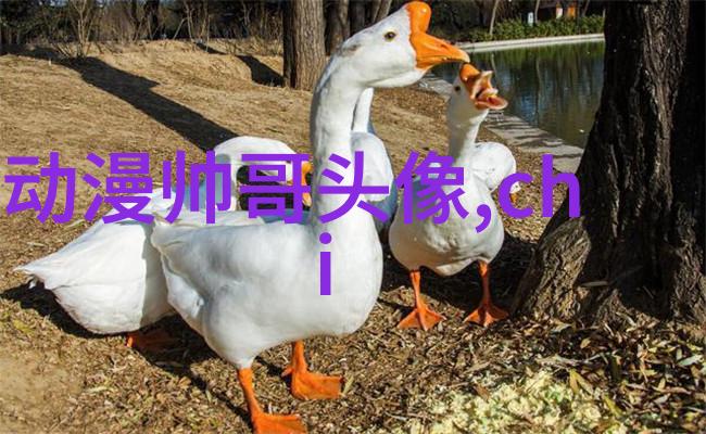 霸气基友网名一对强势组合