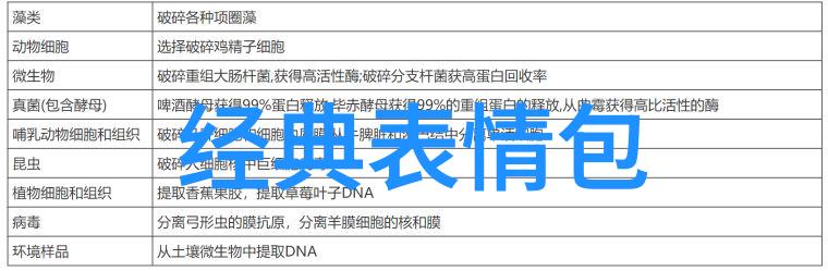 一席神马影院放映戛纳入围电影河边的错误首支正片片段5月20日全球首映引起海内外观众热烈期待