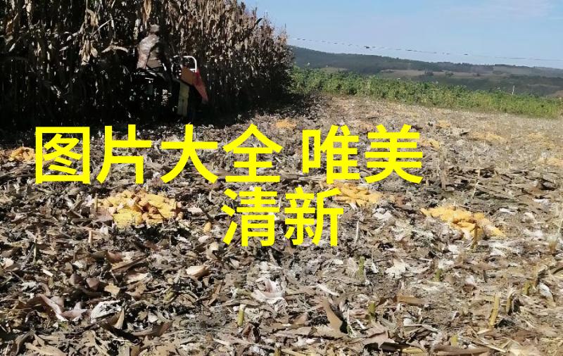 小帅哥背后的故事是怎样的