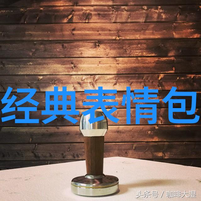 星光闪耀的舞台荣耀全明星的征程