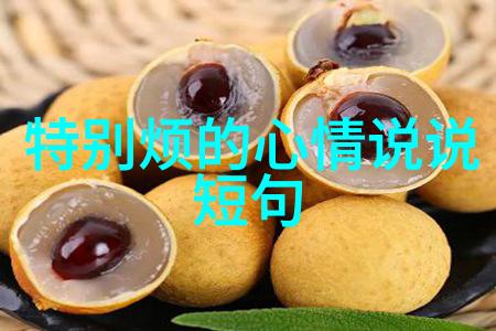 网络红人背后的故事如何成为万千粉丝的心头好