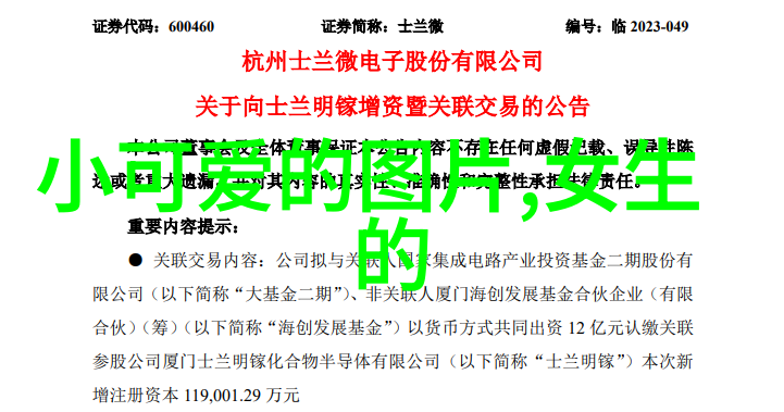 星光下的传奇我是如何成为大明星的