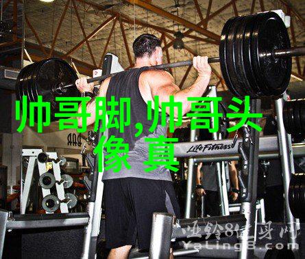 家族徽章揭秘仙气十足的名字背后故事