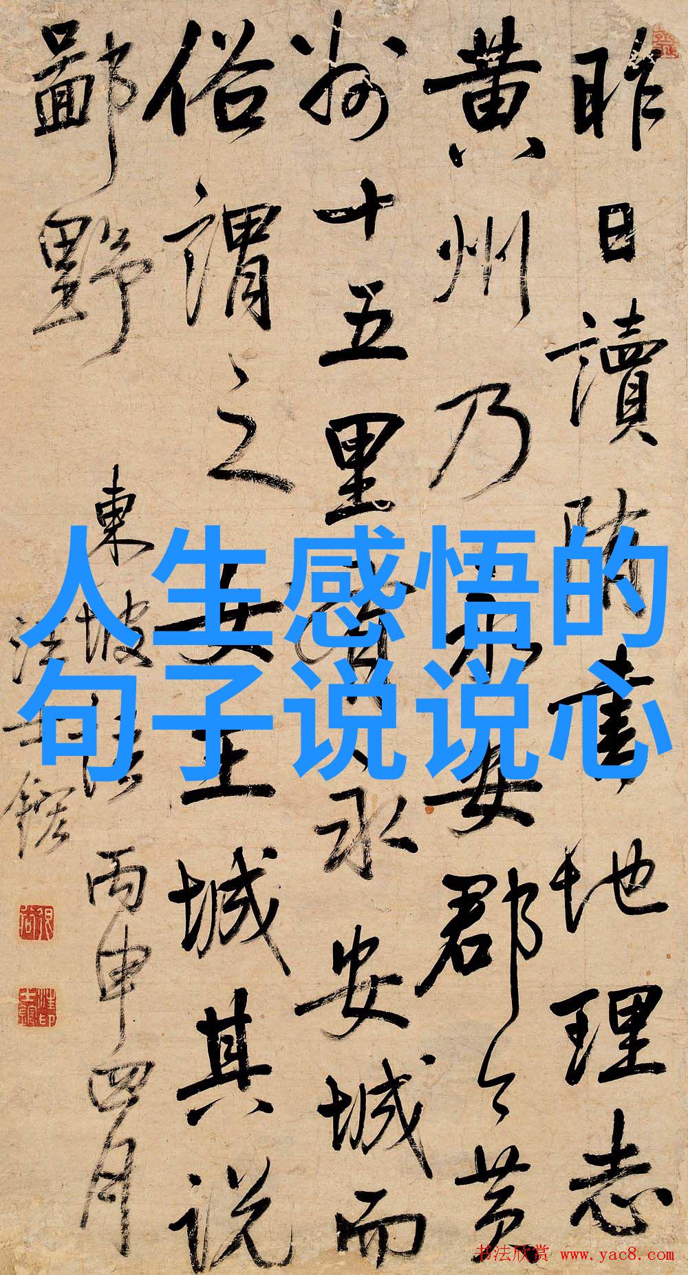 字幕之旅日韩中文字幕的故事