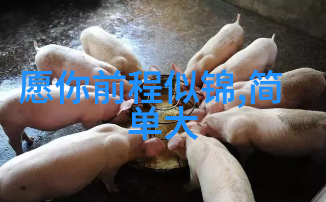探究男性视角下的可爱范畴文化心理学的视野