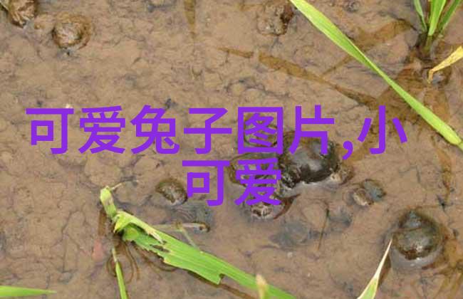深入人心的感情句子那些让我们心动又让我们难以忘怀的话
