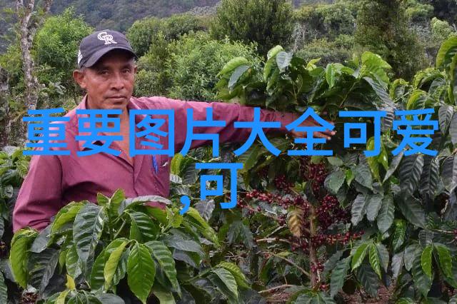 主题我刚发现一个超级有用的微信群你们都要加入的