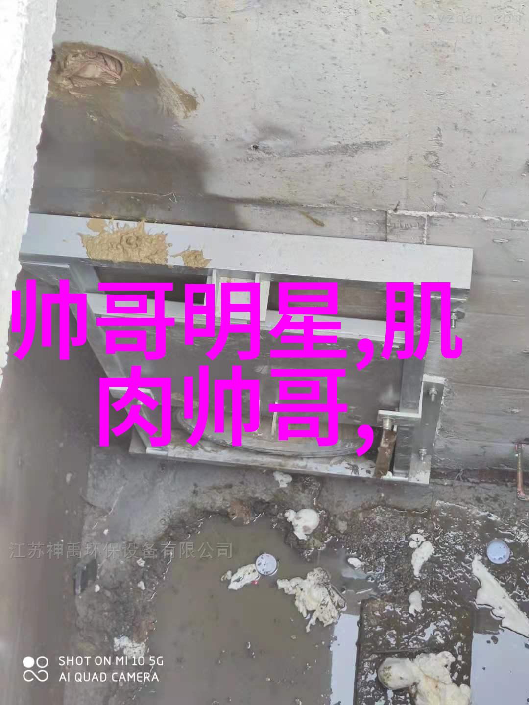 社交软件盛行榜探索最受欢迎的聊天应用