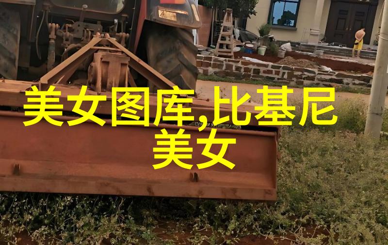 恐怖躲猫猫2 - 影子中的追逐者揭秘恐怖躲猫猫2背后的诡计