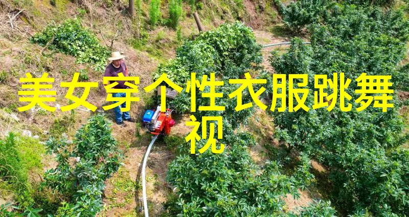 G.E.M.邓紫棋与华纳音乐中国合作独家发行全新专辑启示录探索免费音乐下载软件的最佳选择犹如收集珍贵