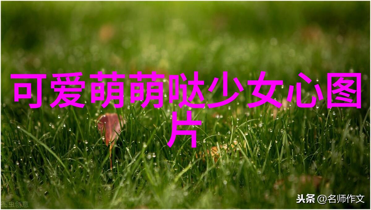 字典挑战-解锁10个超难写的字提升中文书写技巧