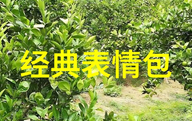 色彩与光影的交响曲分析一幅完美的美女图