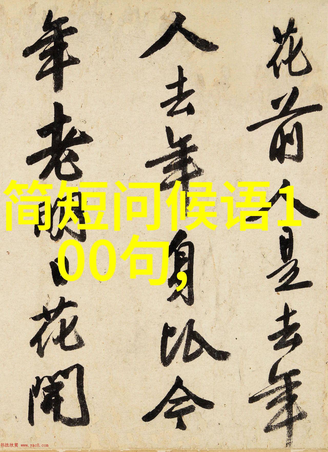 夏天我的夏天你的故事