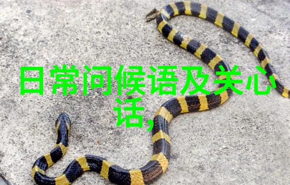 旭日初照探索心灵早晨的最佳问候语