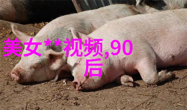 美丽的秘密揭开女性魅力的神秘面纱