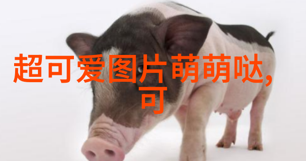 摄影之美捕捉那些令人沉醉的美女照片