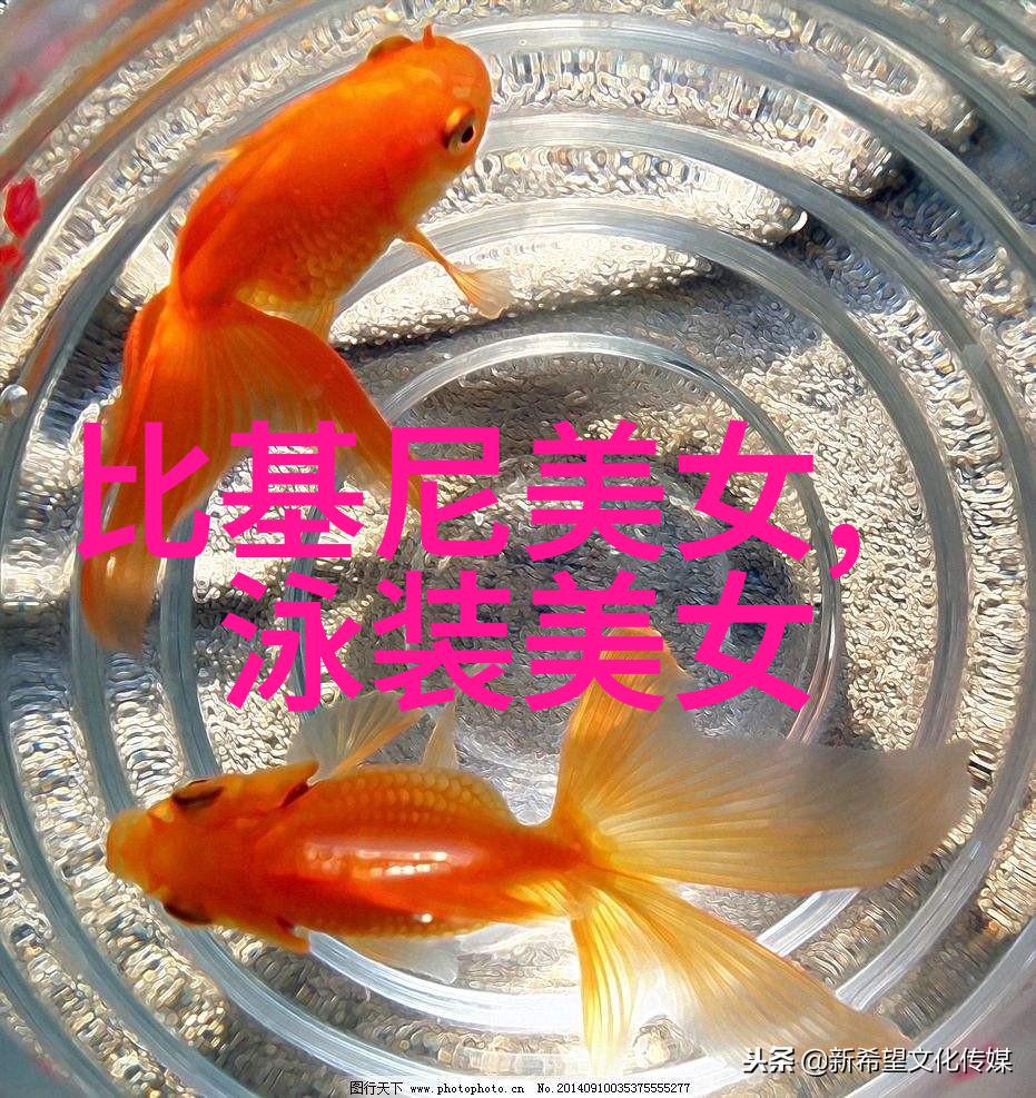 心宅猎人11月23日定档自然之谜与暗香来电视剧相结合悬疑丛生谜团待解