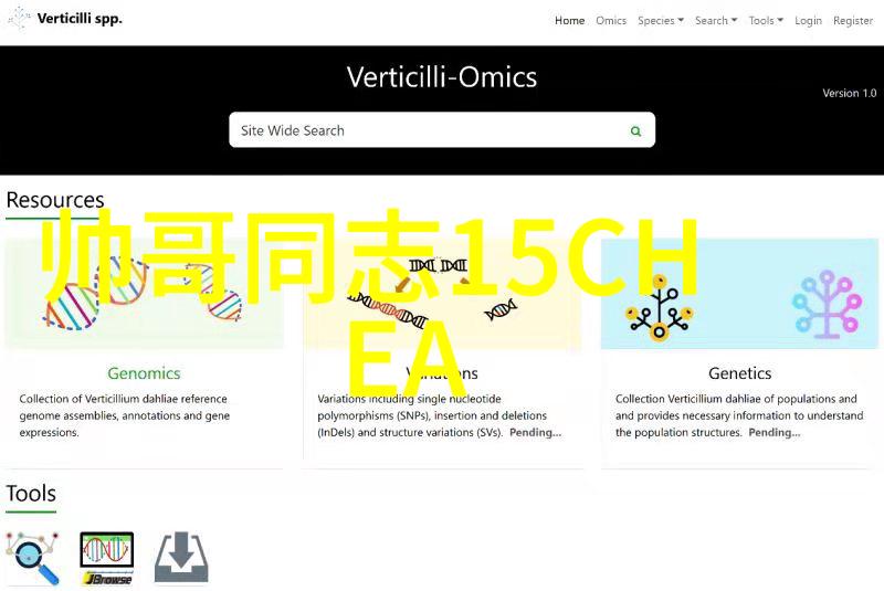 如何创作出让人眼前一亮的卡通动物图片