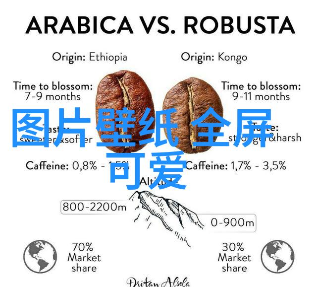 情感的诗篇时光的碎片与心灵的回响