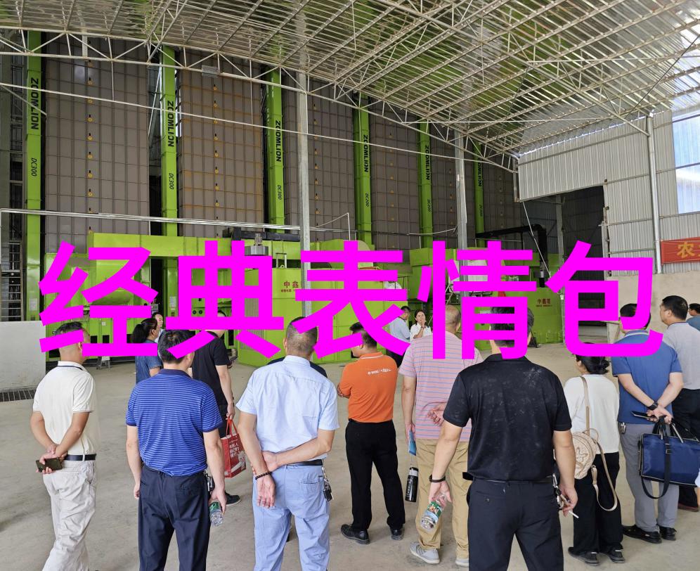我在神雕修仙 - 穿越古墓寻找倚天的秘密