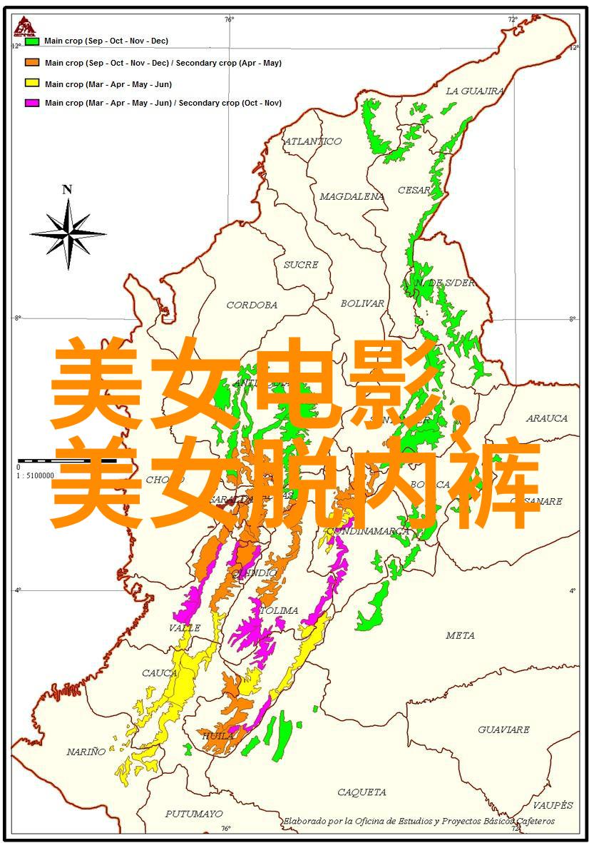 繁体字识别系统高效准确的繁体字文本处理技术