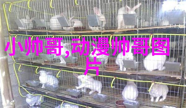 有品位的早安句子亲测100能让你心情大好