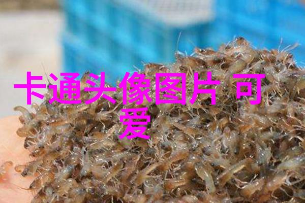 恐怖电影-血影中的惊魂揭秘史上最恐怖血腥的电影