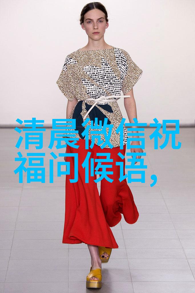 闪耀荣誉全明星盛宴的光辉时刻