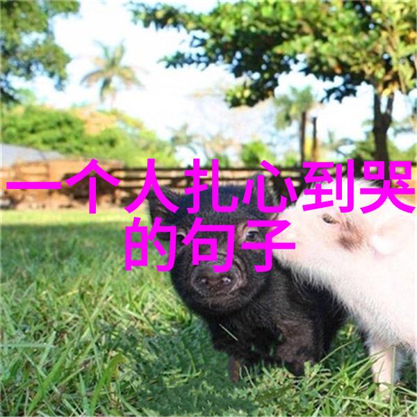 探索恐怖影像的边界揭秘全球观众心中最令人战栗的电影